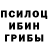 Псилоцибиновые грибы мицелий kjeksomanen