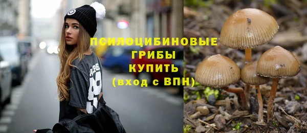 бошки Богородицк