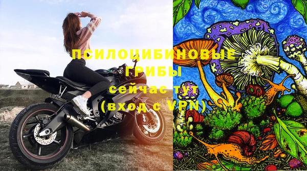 экстази Богданович