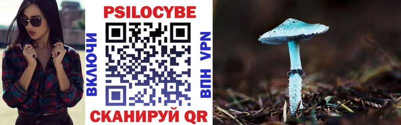 Галлюциногенные грибы Psilocybine cubensis  Демидов 